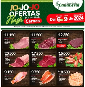 Catálogo Supertiendas Cañaveral en Palmira | Ofertas Supertiendas Cañaveral | 2024-12-07T00:00:00-05:00 - 2024-12-21T23:59:00-05:00