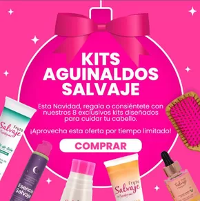 Catálogo Fruto Salvaje en Curumaní | Kits Aguinaldos Salvaje  | 2024-12-16T00:00:00-05:00 - 2025-01-01T23:59:00-05:00