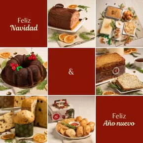 Catálogo Santa Elena | Feliz Navidad & Ano Nuevo | 2024-12-24T00:00:00-05:00 - 2025-01-05T23:59:00-05:00