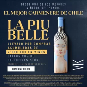 El mejor carmenere de Chile