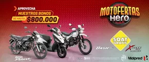 Catálogo Motored | Nuestros Bonos  | 2025-01-28T00:00:00.000Z - 2025-02-03T00:00:00.000Z